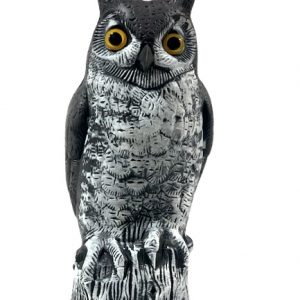Garden Owl Decoy