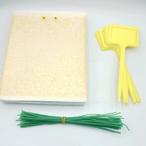50 Yellow Sticky Traps Sheets
